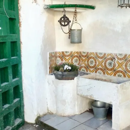 Charming House In Del Cid With Garden And Terrace Σπίτι διακοπών