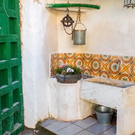 Charming House In Del Cid With Garden And Terrace Σπίτι διακοπών *
